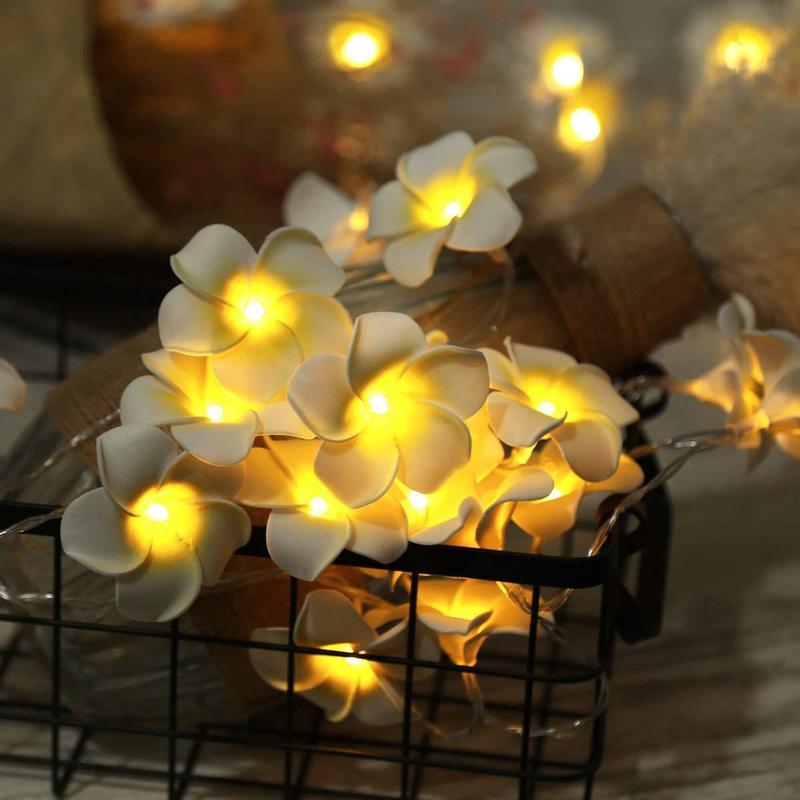 Plumeria Blumen Lichterkette