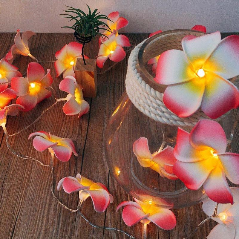 Plumeria Blumen Lichterkette