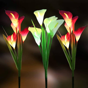 Solar Calla-Lily Licht